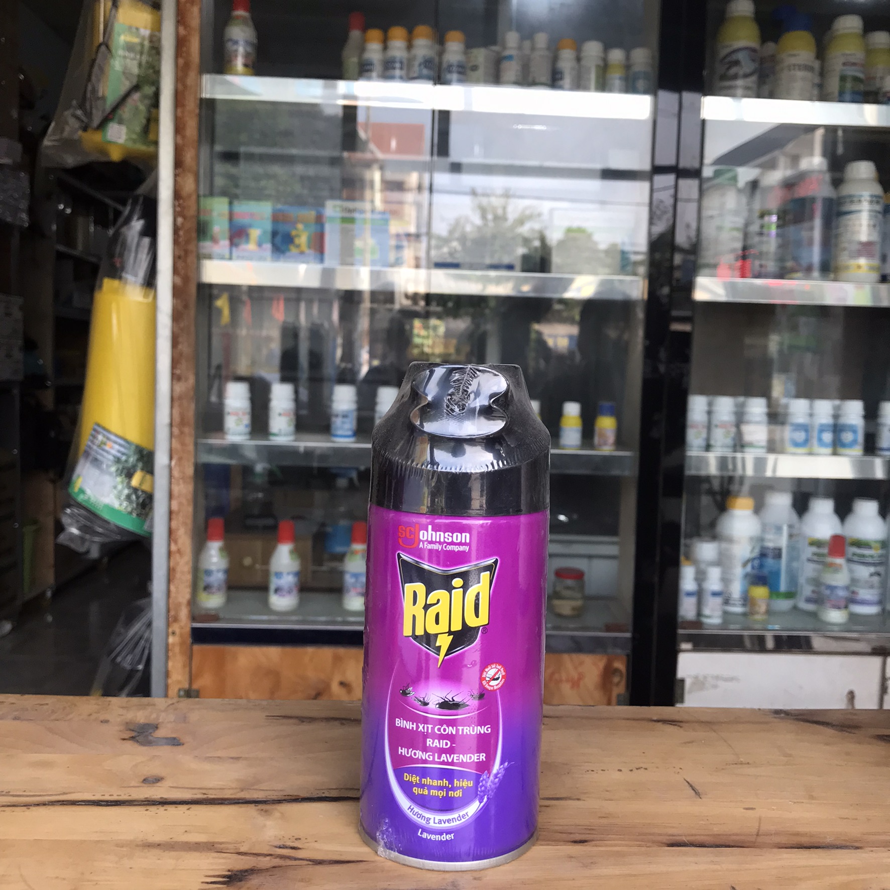 Bình xịt muỗi và côn trùng Raid (Chai 300ml) hương ngẫu nhiên