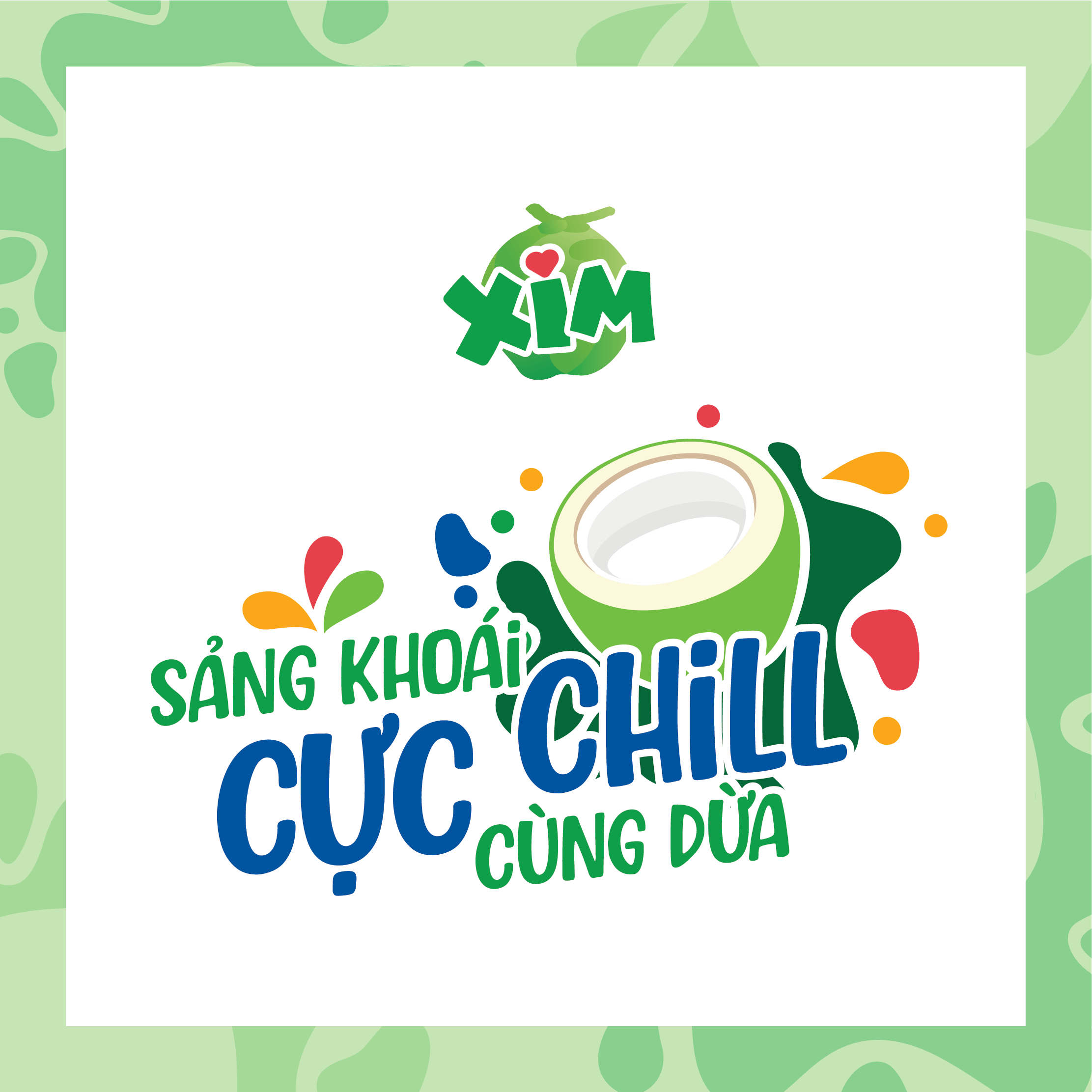 [HSD:T10/2025]Combo 6 Chai Nước Dừa Xim Chai PET 350ml