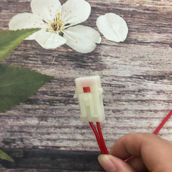 Dây cầu chì xe Wave RS