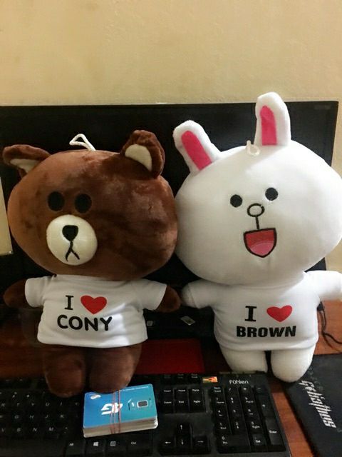 Cặp đôi gấu bông gấuu Brown và thỏ Cony siêu dễ thương