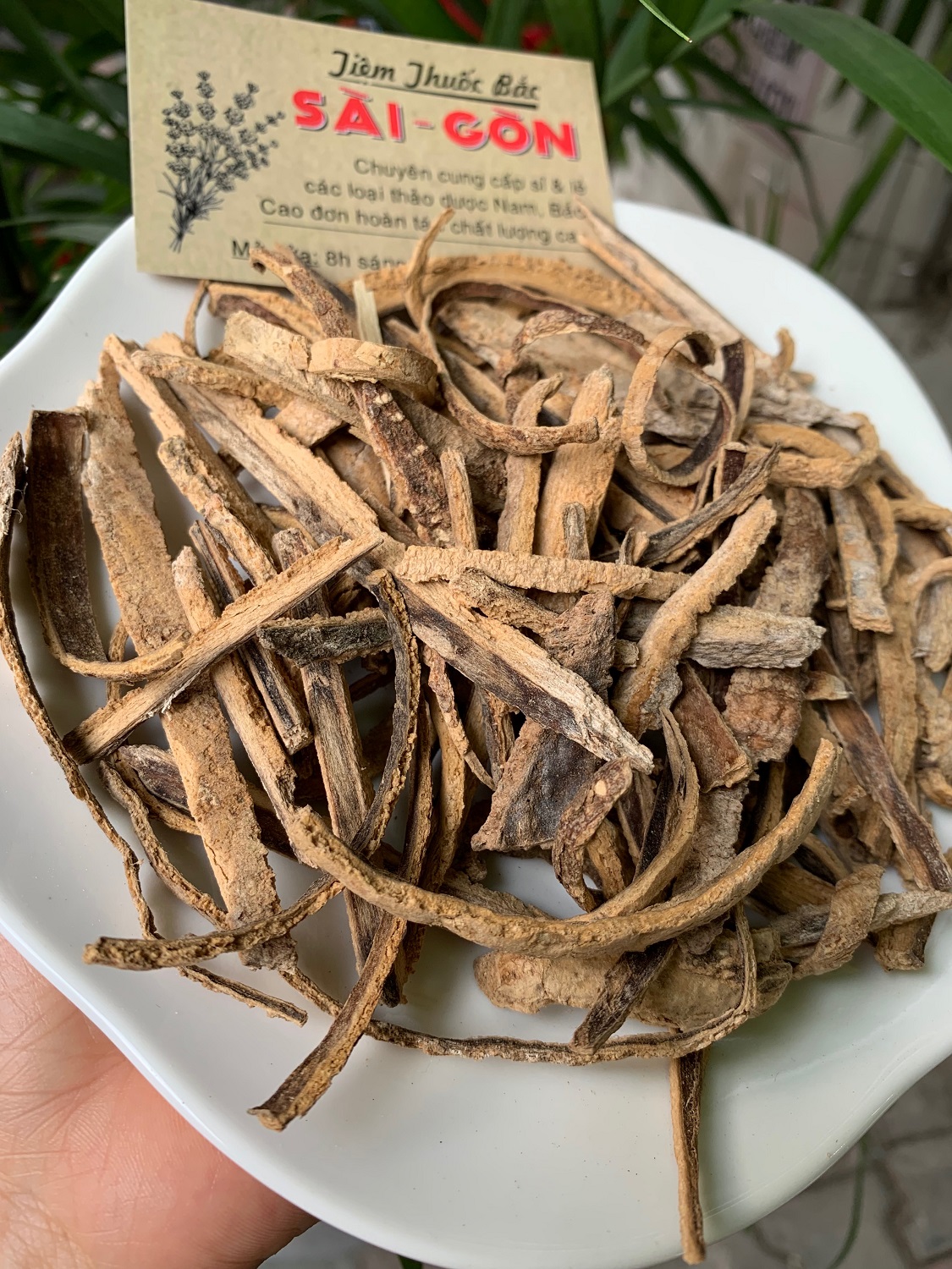 [HCM]BẠCH DƯƠNG BÌ 100GRAM Tiệm Th.uốc Bắc Sài Gòn