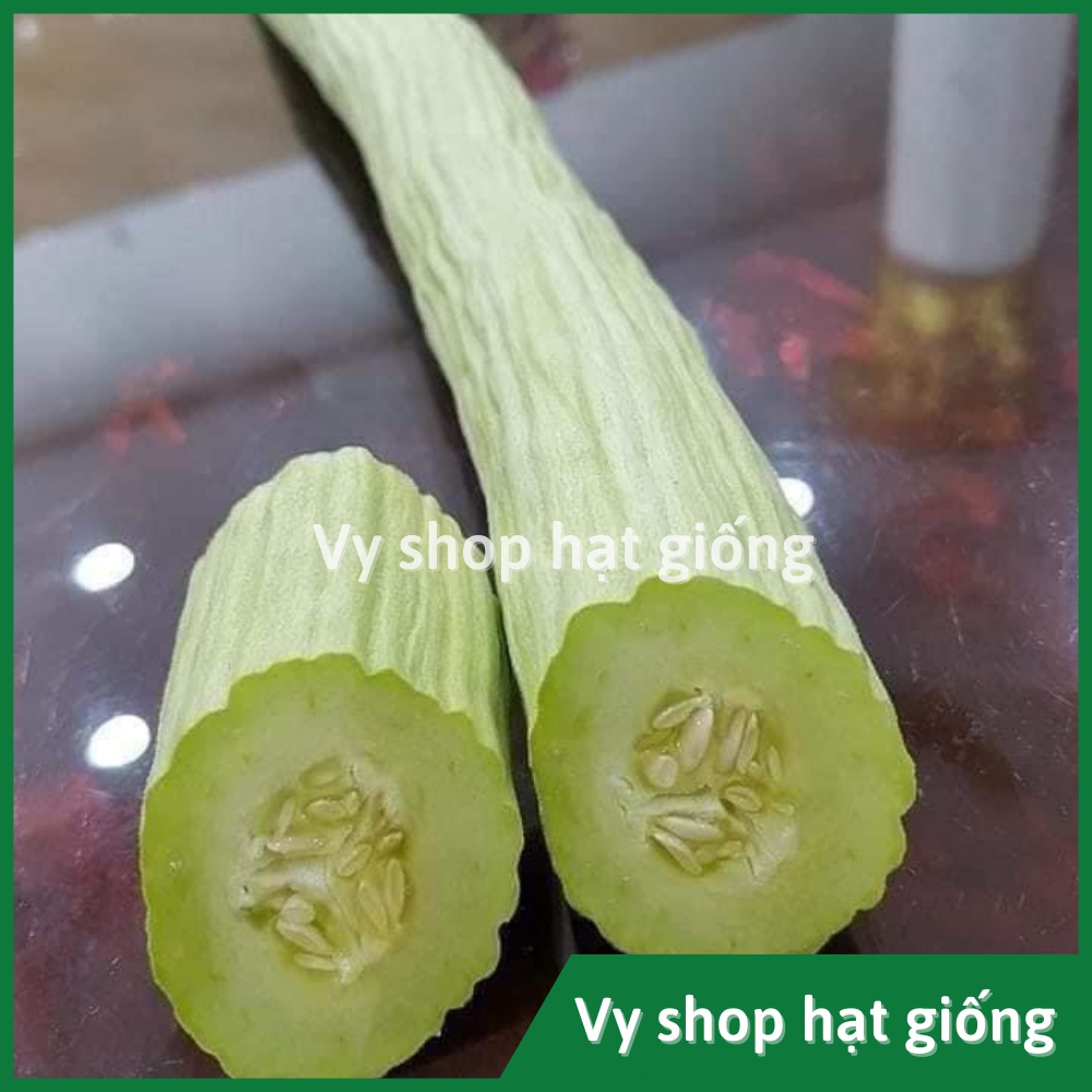 Hạt giống dưa chuột rắn (dưa leo) Thái Lan gói 30 hạt