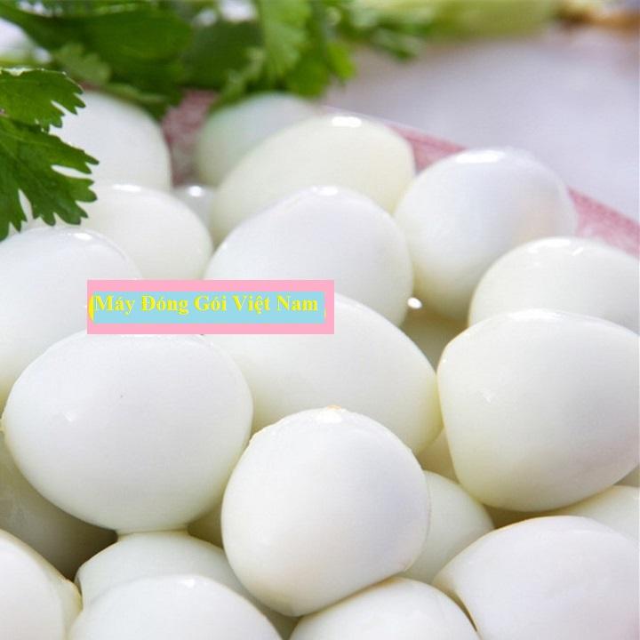 [HCM]Máy bóc vỏ trứng cút - máy lột vỏ trứng cút mini