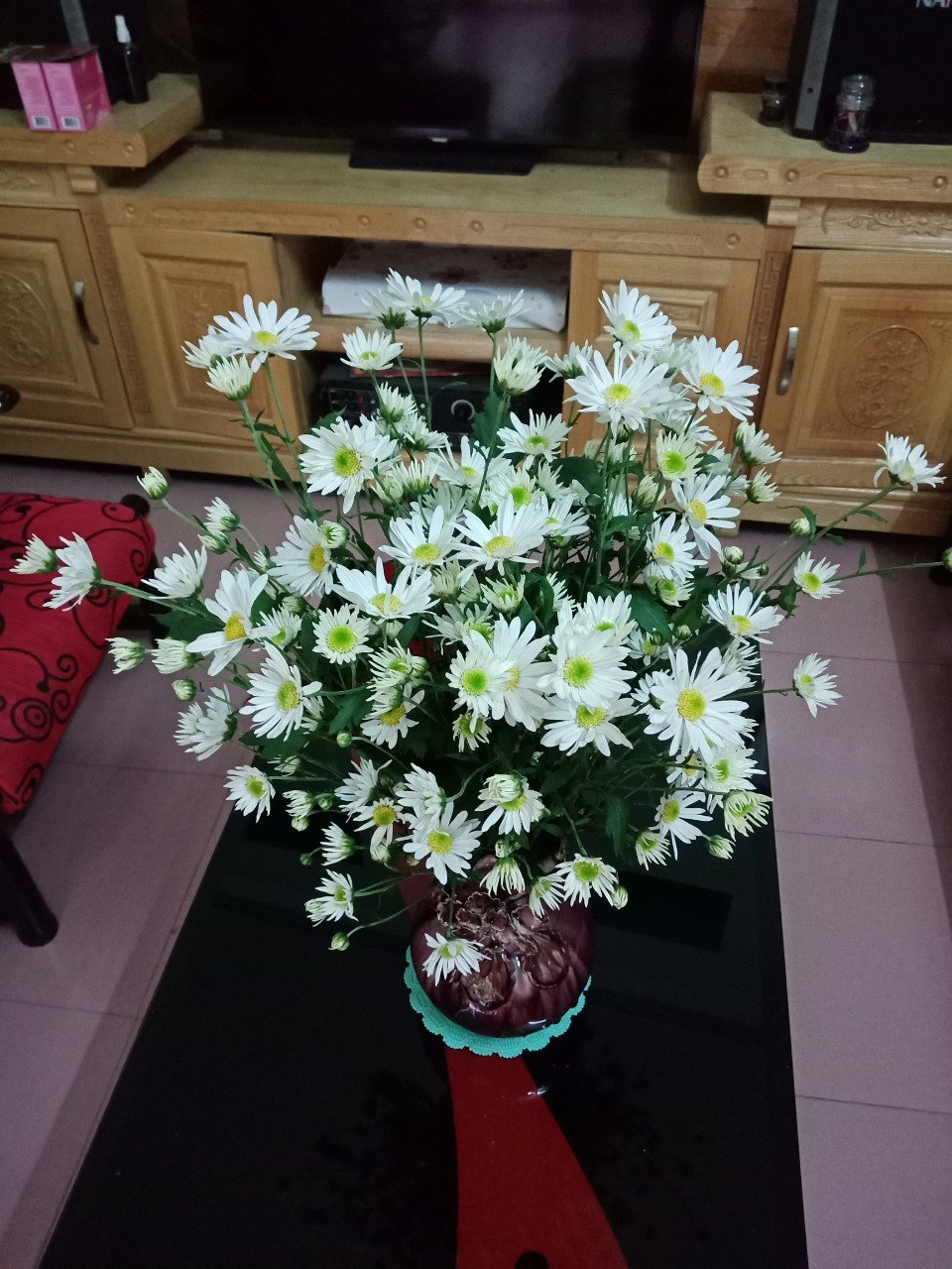 Gói Hạt Giống Hoa Cúc Họa Mi