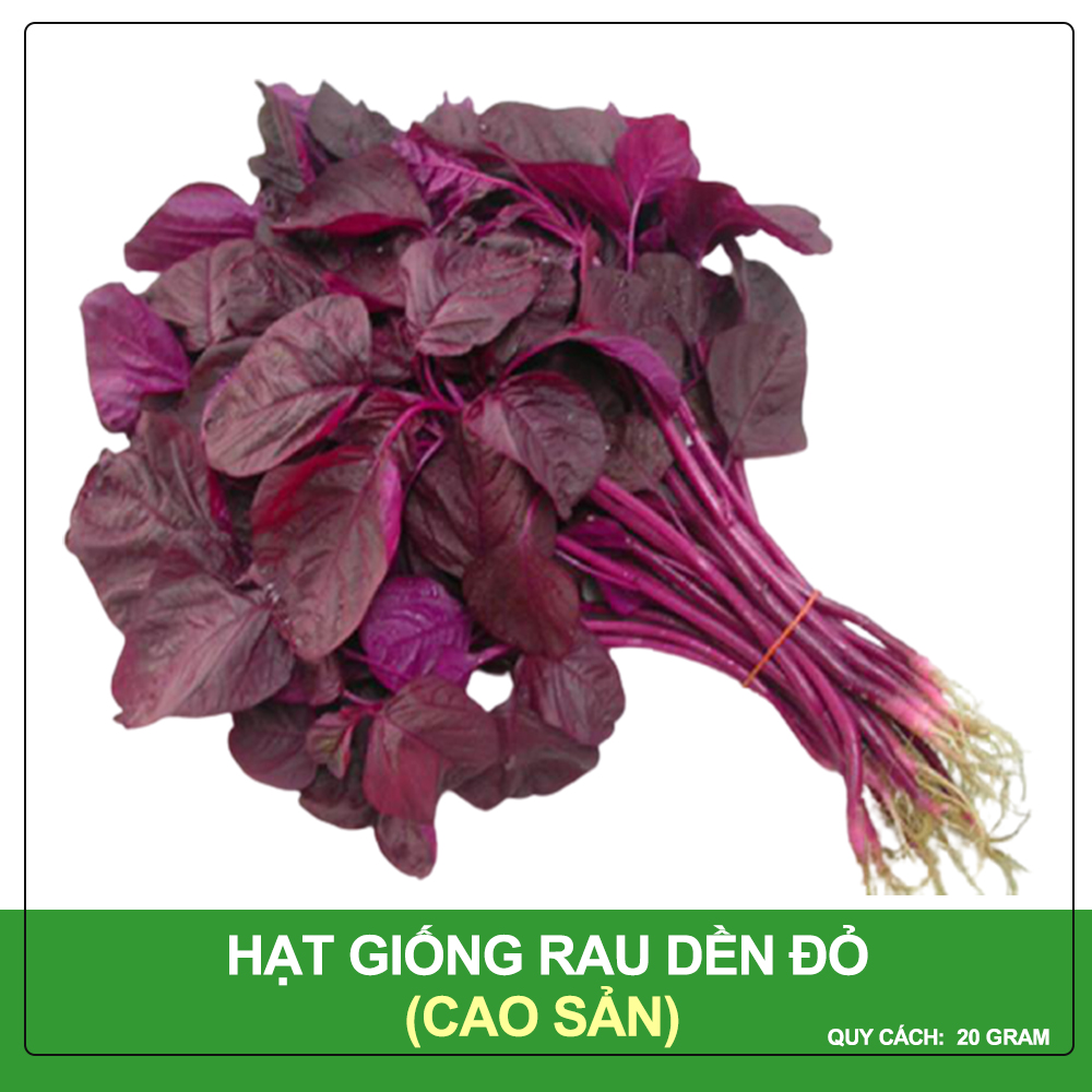 Hạt Giống Rau Dền Đỏ Phú Nông Gói 20 Gram