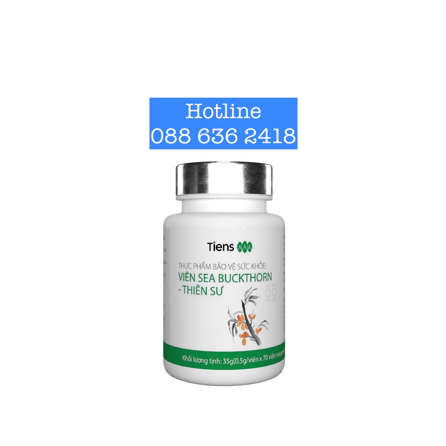Viên hắc mai biển Thiên Sư