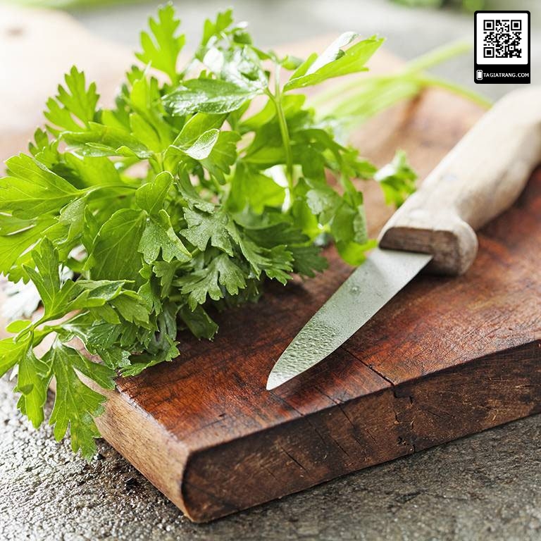 Hạt giống mùi tây parsley (ngò tây)