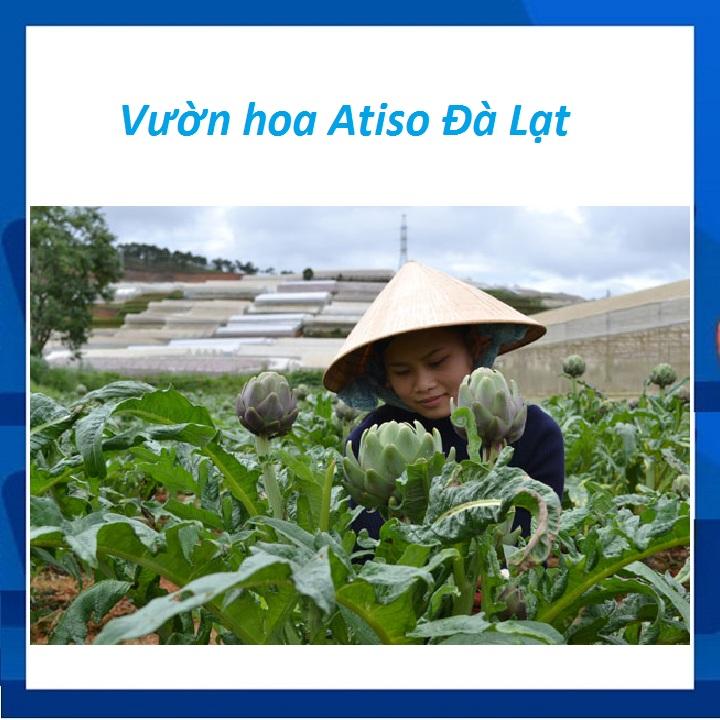 Cao Atiso Ngọc Duy Hộp 200g