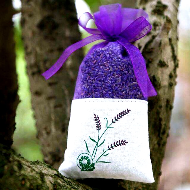 Túi thơm nụ hoa lavender Khô - hàng nhập khẩu