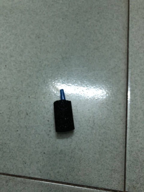 [HCM]Cục Sủi Oxi Cho Hồ Cá|5 Cục