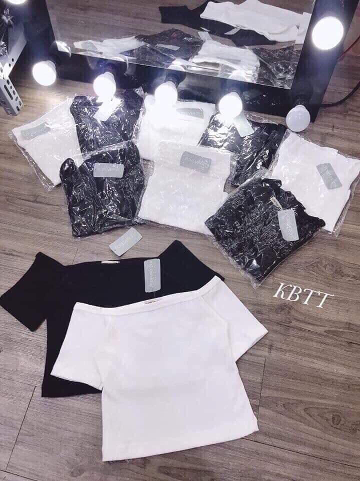 Croptop Trễ Vai phong cách mới ( có 2 màu )