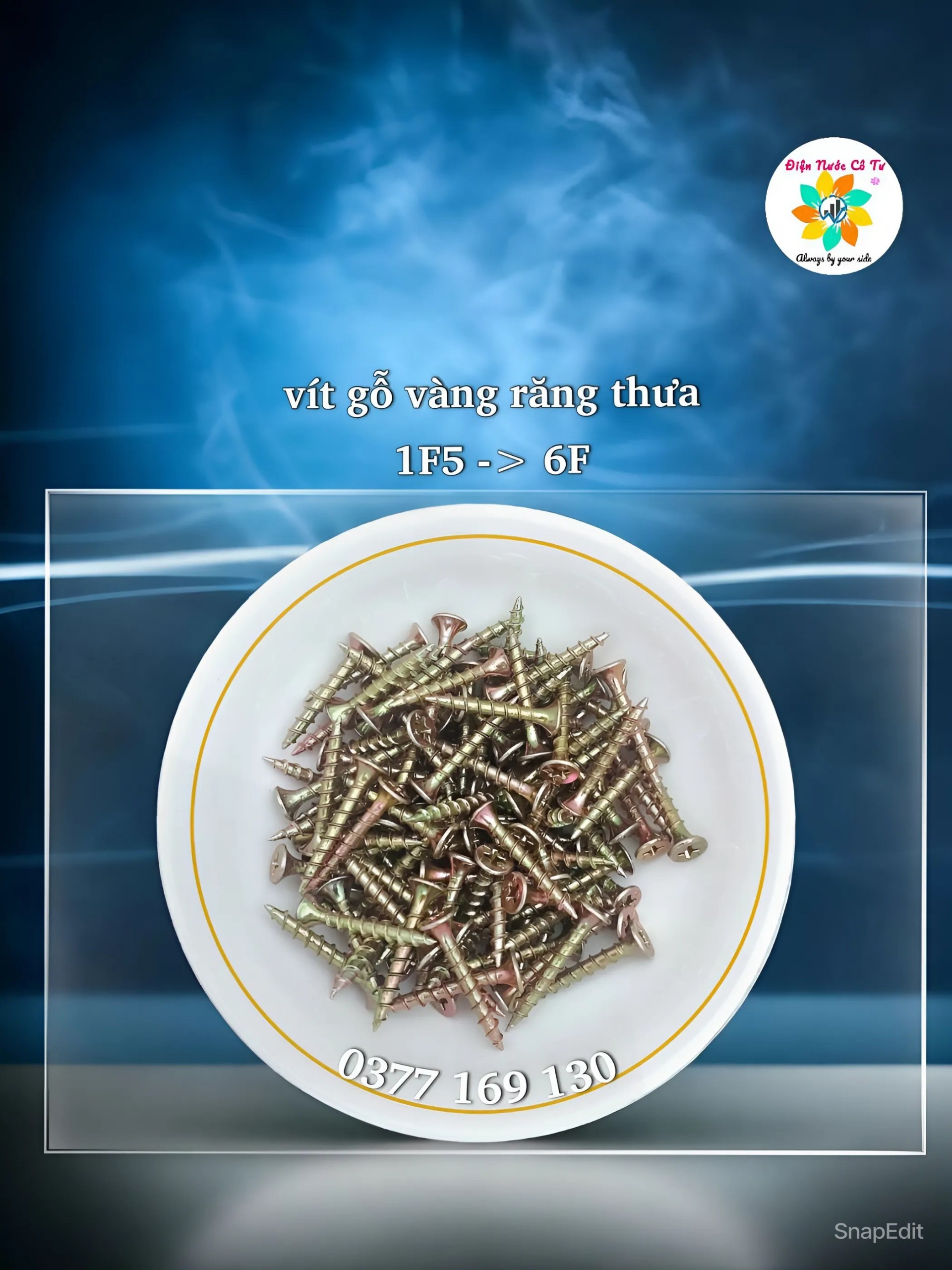 100 gram Vít bắt gỗ Vít đầu bằng bắn gỗ