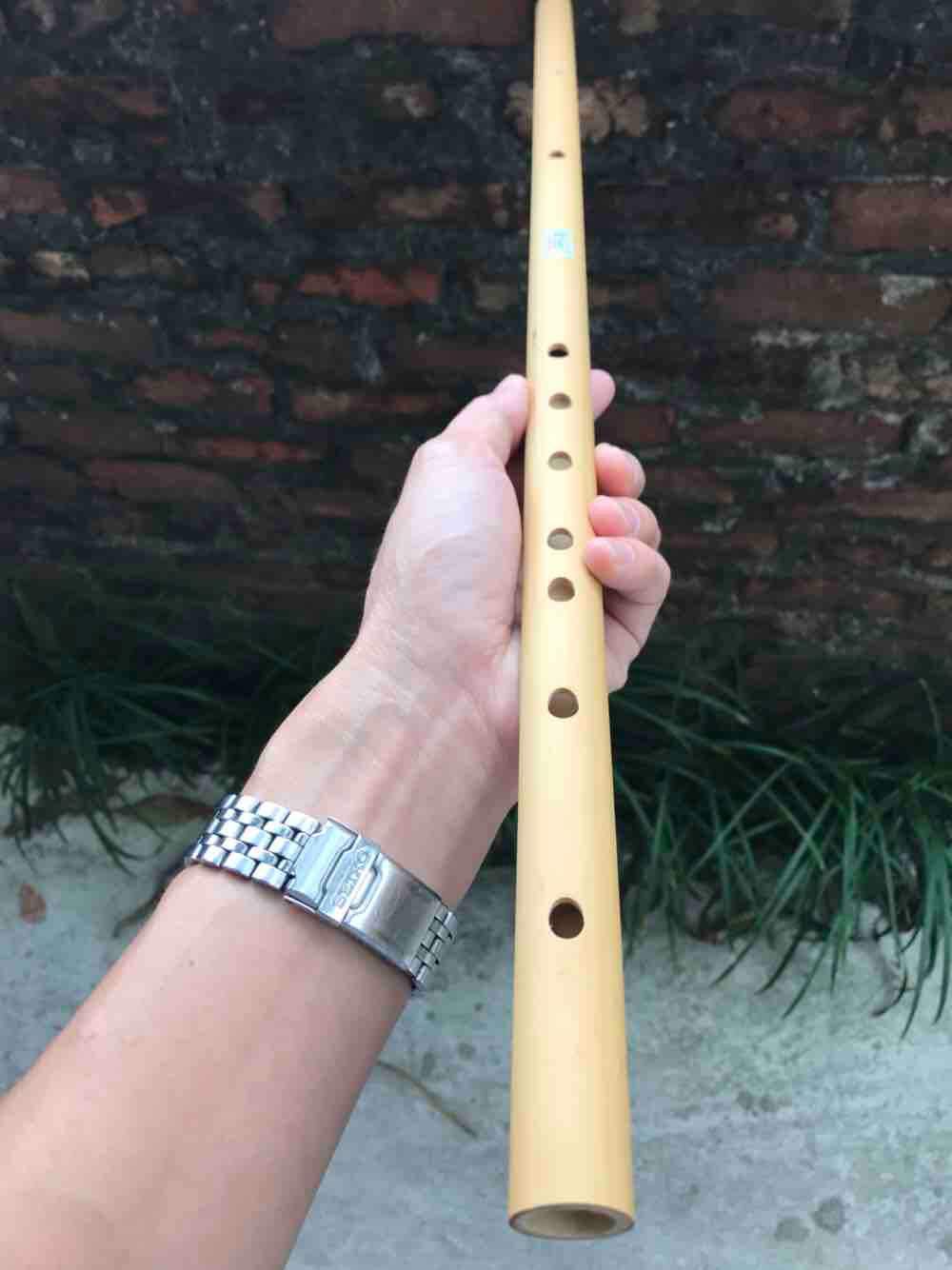 Sáo la trầm (A4)