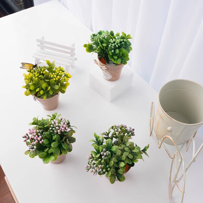 Chậu hoa mini để bàn trang trí - chậu bông nhí