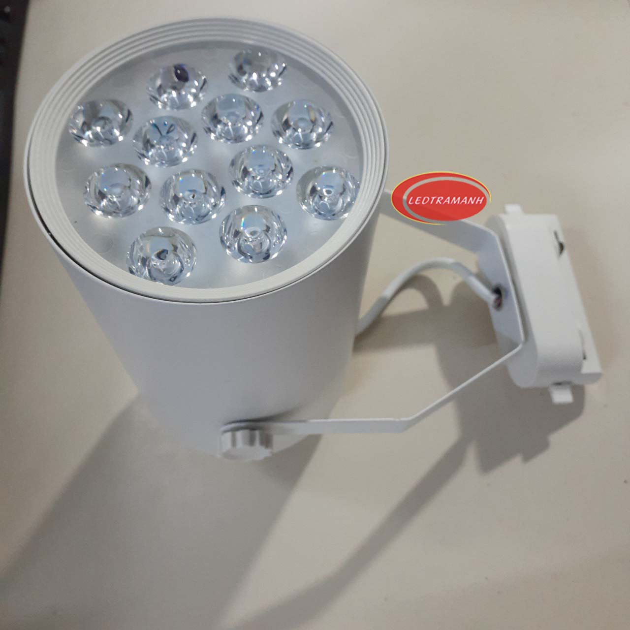 Đèn led rọi chiếu điểm 12W HG mắt ếch