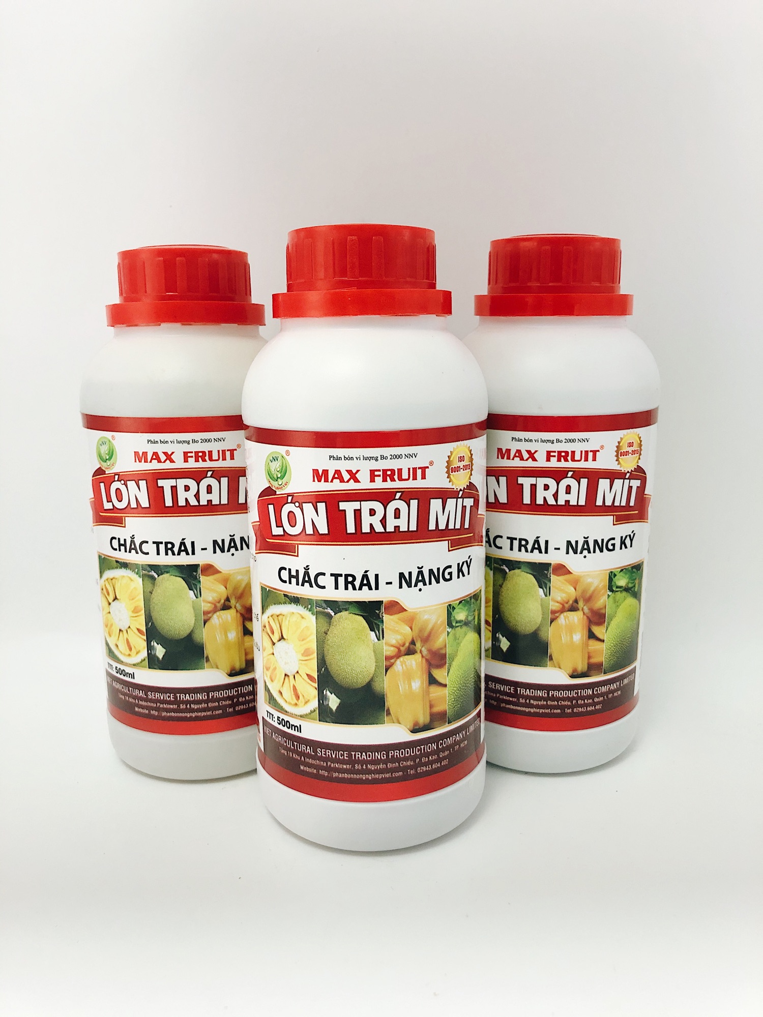SIÊU LỚN TRÁI MÍT - MAX FRUIT