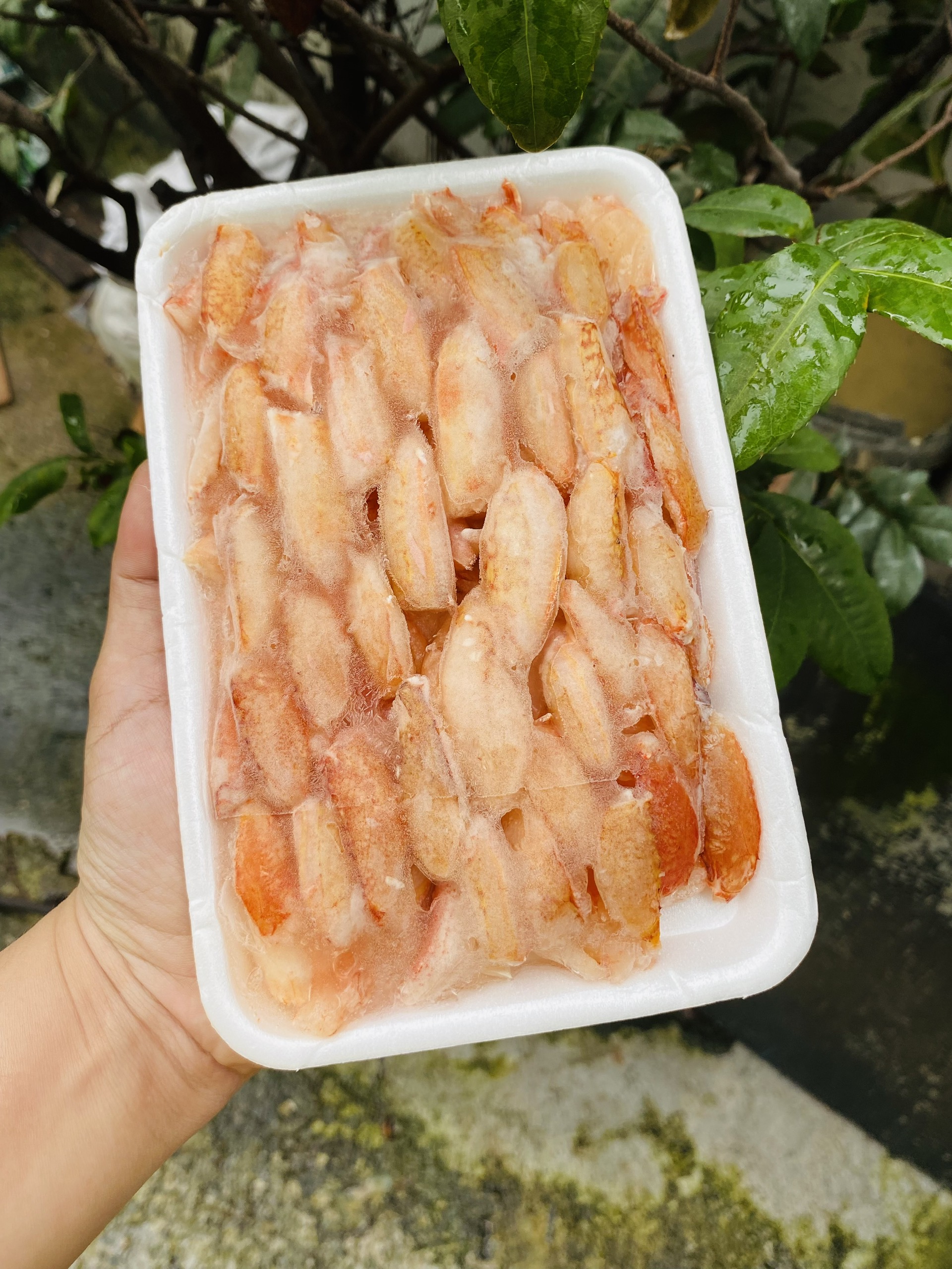 [GIAO NHANH 2H HCM] Giá Sỉ Thịt Càng Ghẹ A