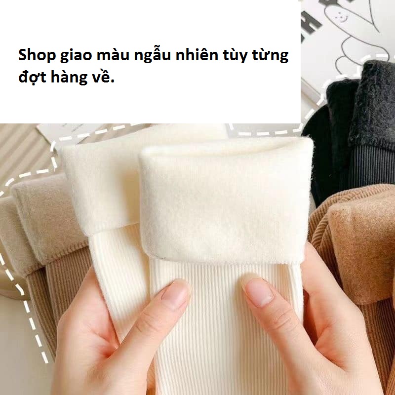 Combo 10 đôi tất lót lông, giữ nhiệt nhiều màu, siêu ấm