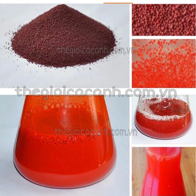Carophyll Bột lên màu đỏ và vàng cho cá cảnh 1gr