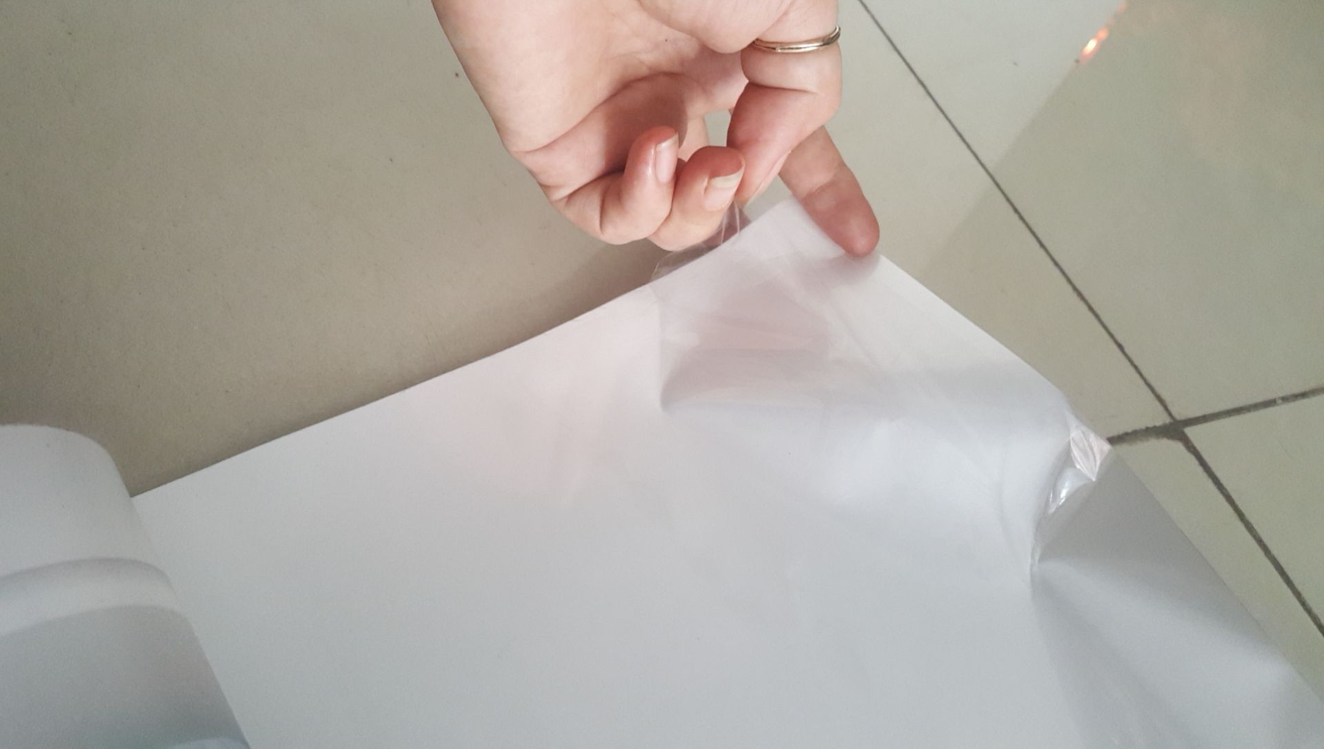 Tranh dán tường con Hổ 3D
