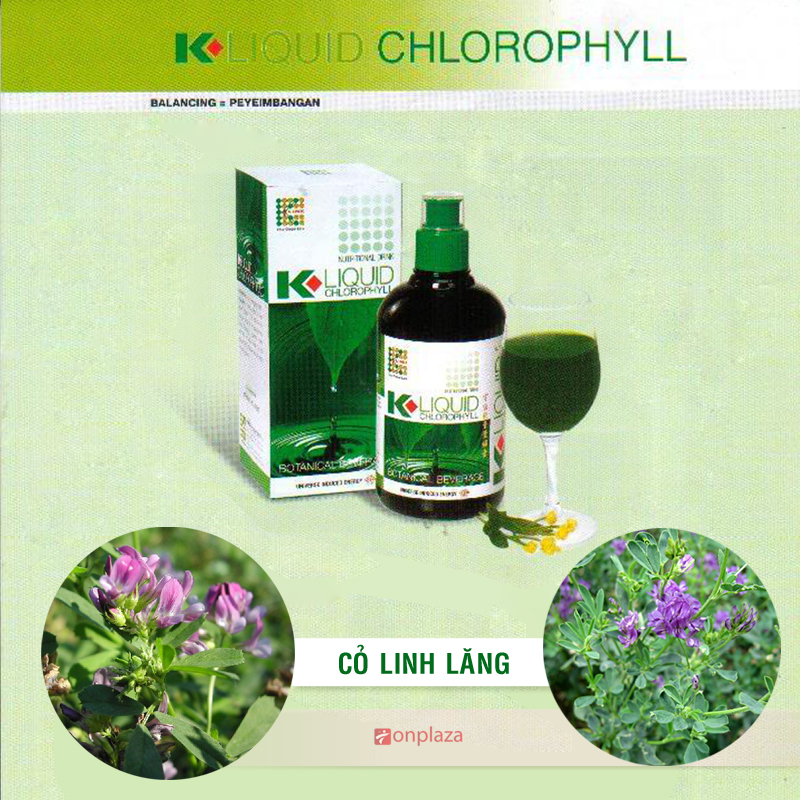 NƯỚC DIỆP LỤC KLINK LIQUID CHLOROPHYII 500 ML