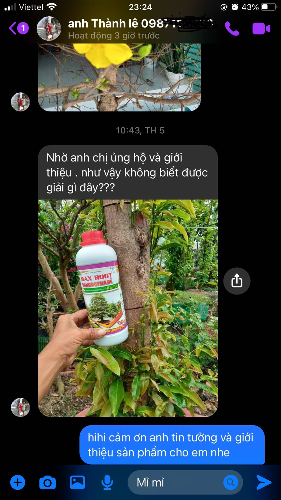 Phân bón Maxroot Bung Đọt Ra Rễ Mai Vàng