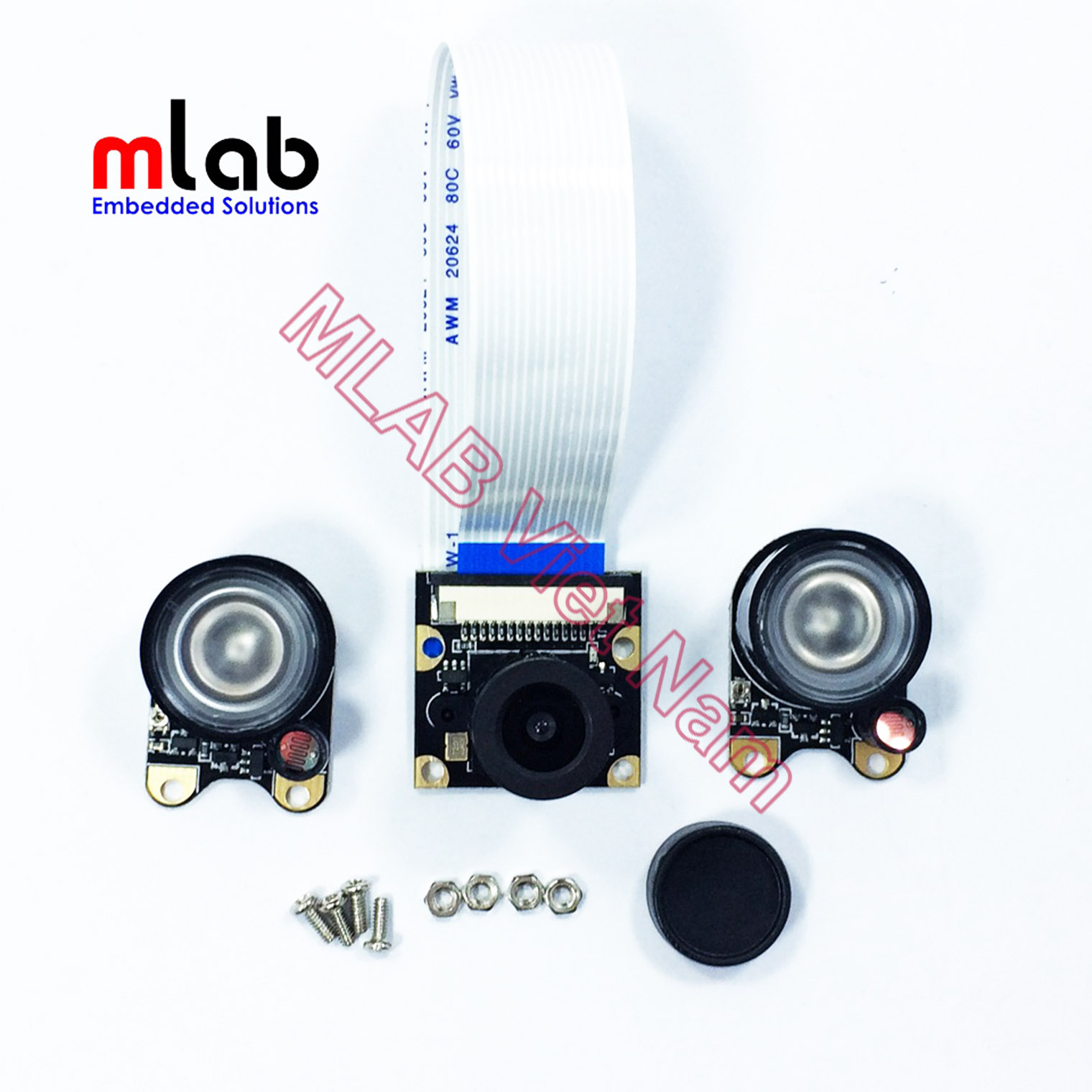 RPi Camera (F)