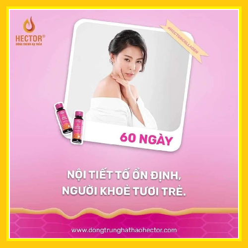 Nước đông trùng hạ thảo Hector collagen (Hộp 10 chai x 50ml)