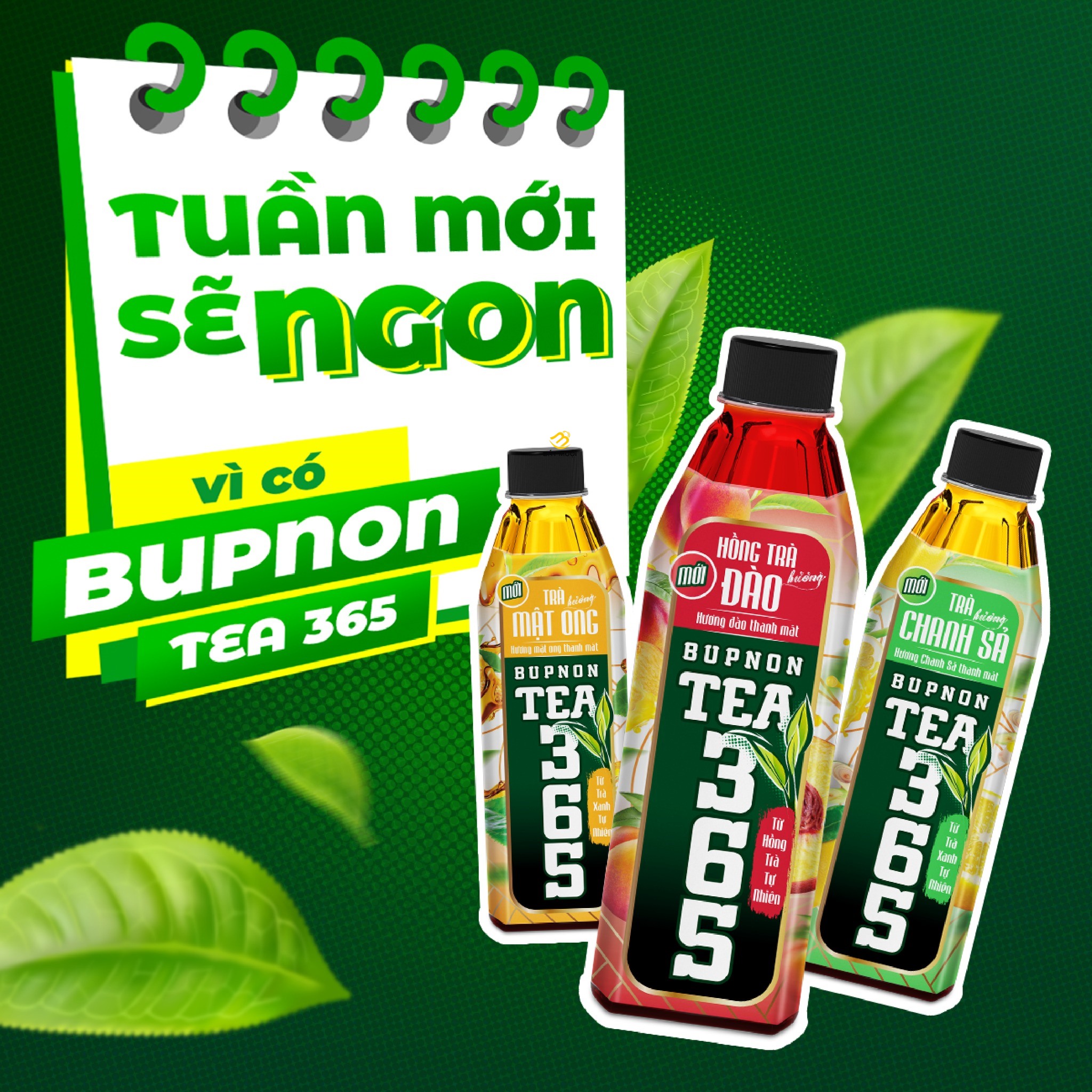 Trà BUPNON TEA365 chai 500ml - CTY BÁT MUỘI
