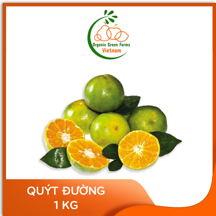 [OGF] - Quýt đường (1kg) - Giao nhanh HCM