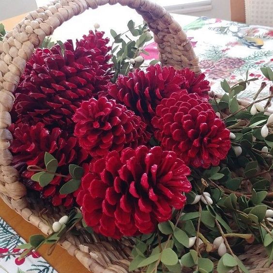 hoa khô - combo 10 quả thông khô - giáng sinh - noel