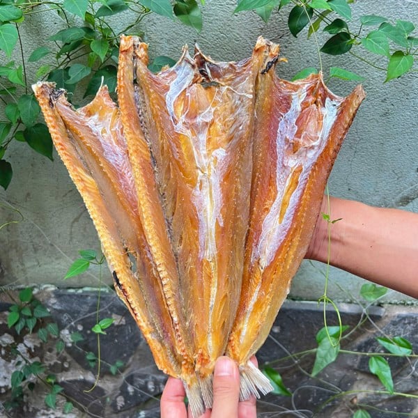 Khô Cá Mối Trắng- [PHƠI KHÔ THỦ CÔNG] - chuẩn cá mối biển tươi Cà Mau