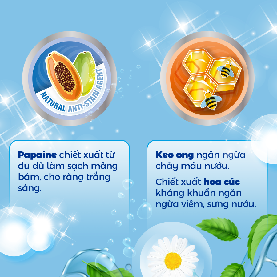 [ Mua 2 tặng 1 bàn chải pierrot ] Kem đánh răng Pierrot keo ong chắc khỏe nướu 75ML