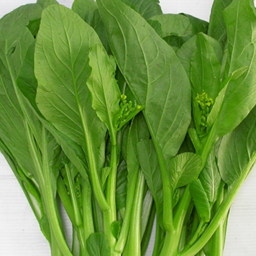 Hạt Giống Cải Ngồng