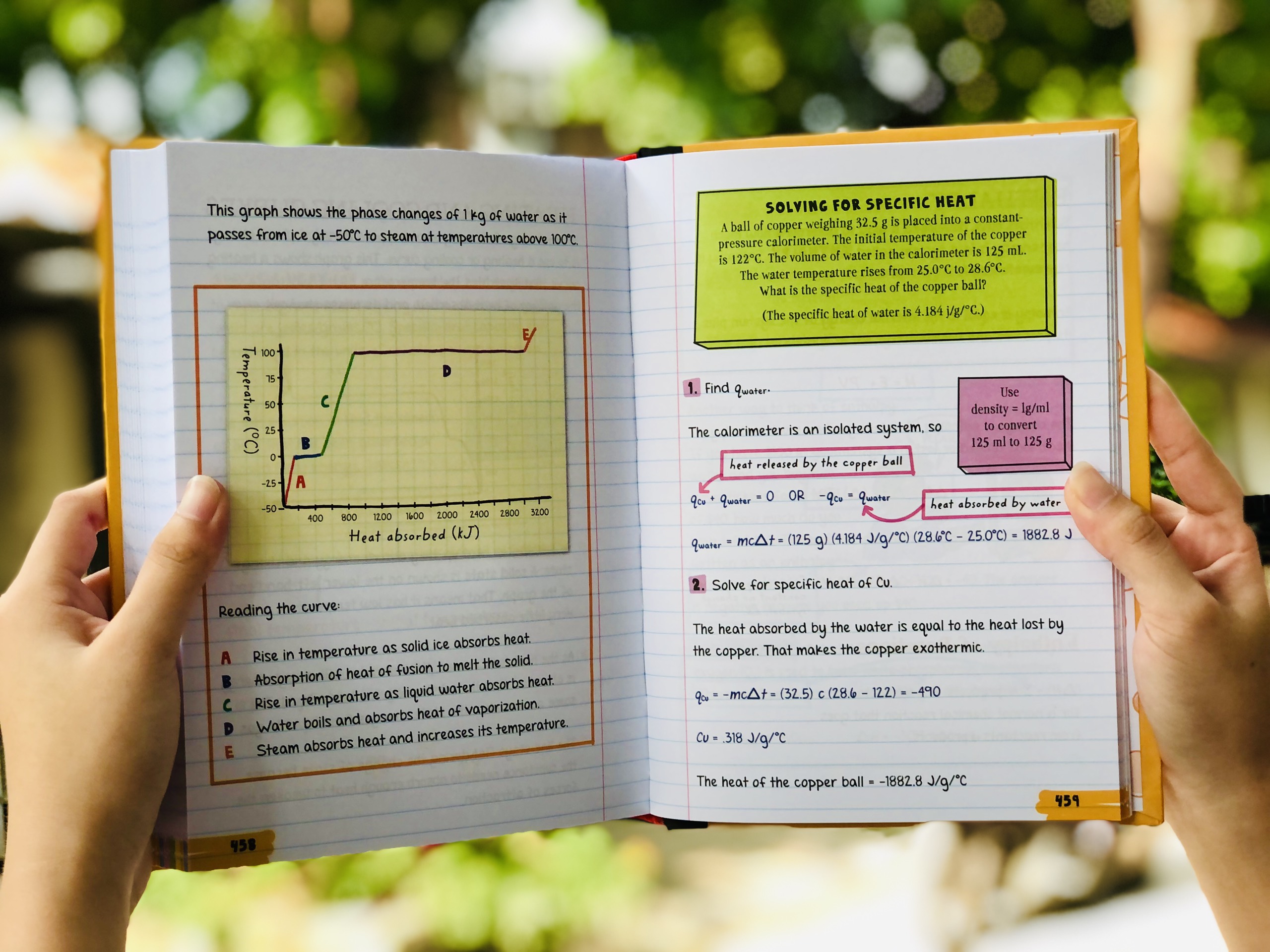 Sách Big Fat NoteBook Everything You Need To Ace Chemistry, Biology, Geometry, Computer Science (Bộ 4 cuốn Nhập khẩu)