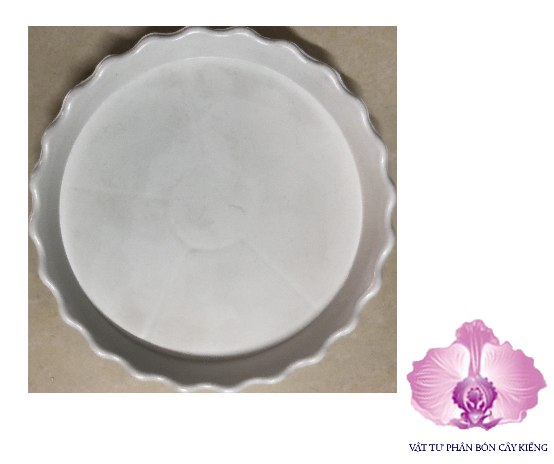 Đĩa lót chậu tròn khía 13cm - #048d#