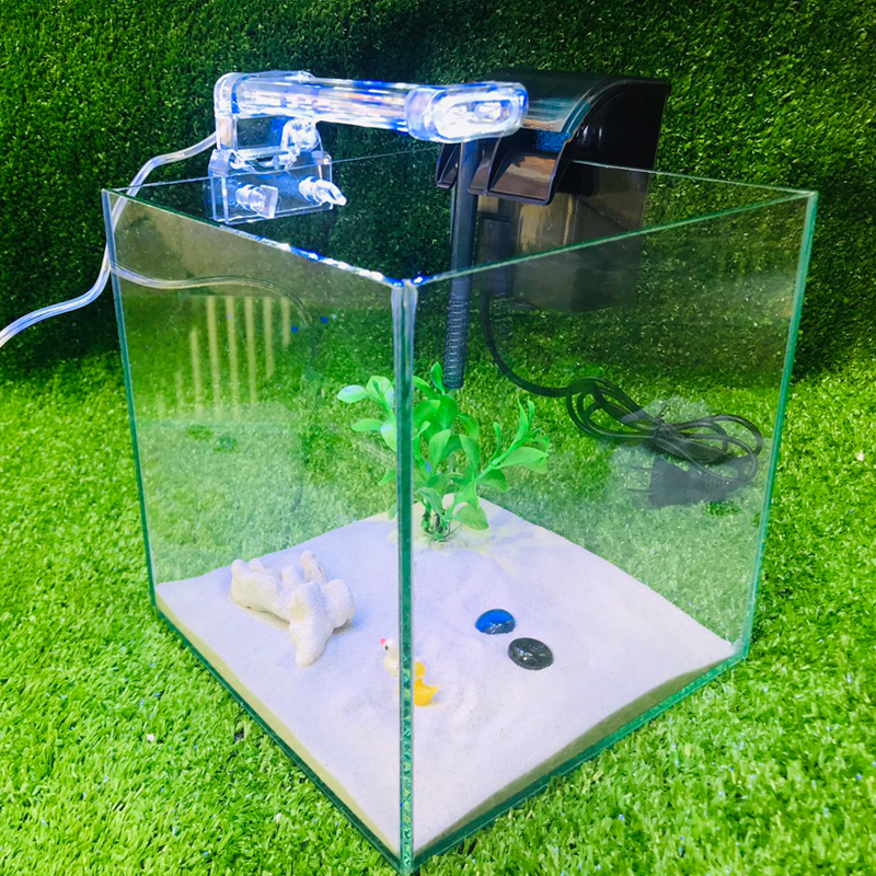 bể cá cubic - combodend10- bể cá mini