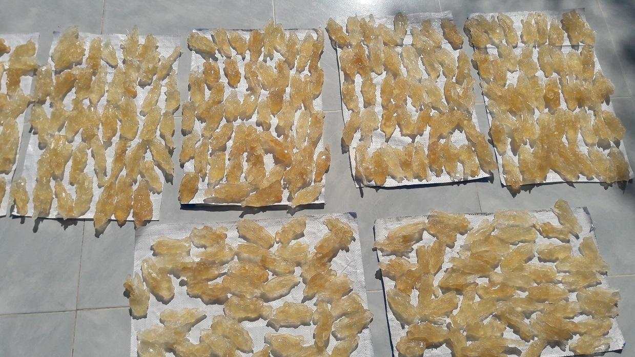 [HCM]MỦ TRÔM SẠCH HẢO HẠNG 500GR