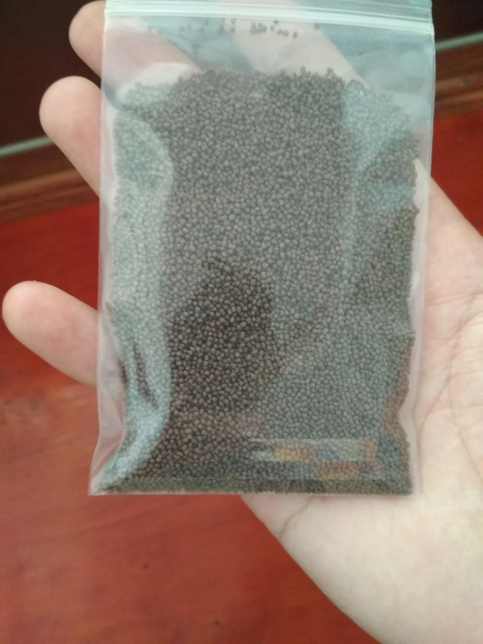 Thức ăn cho cá betta