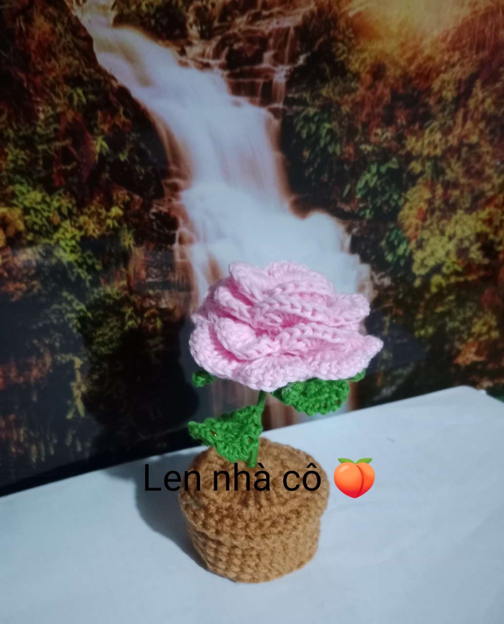 Hoa Hồng Len Handmade