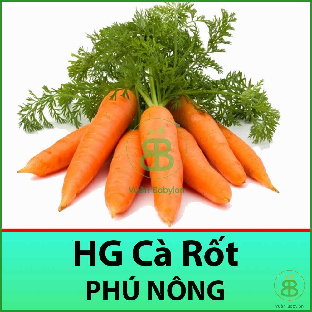 Hạt Giống Cà Rốt Cao Sản 2Gr