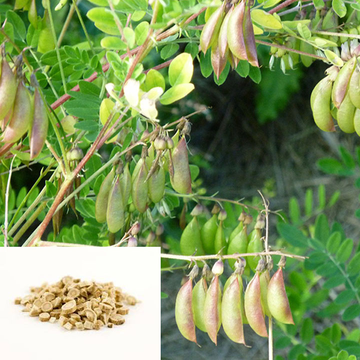 Hoàng kỳ 1kg