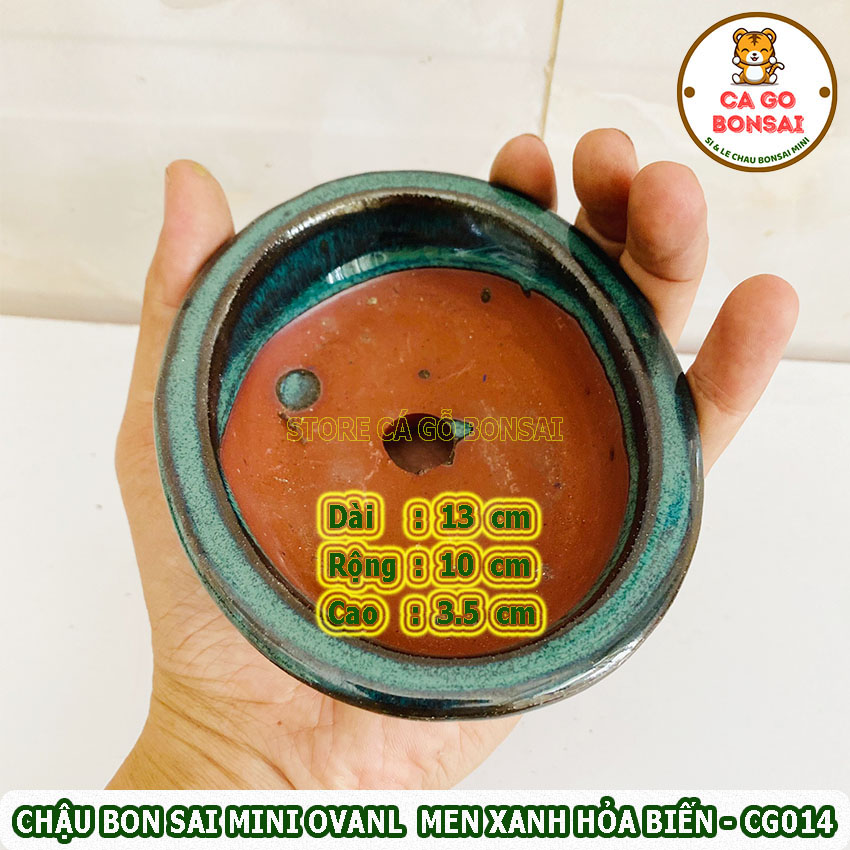 Chậu Bonsai Mini Oval Men Xanh Hỏa Biến - CG014