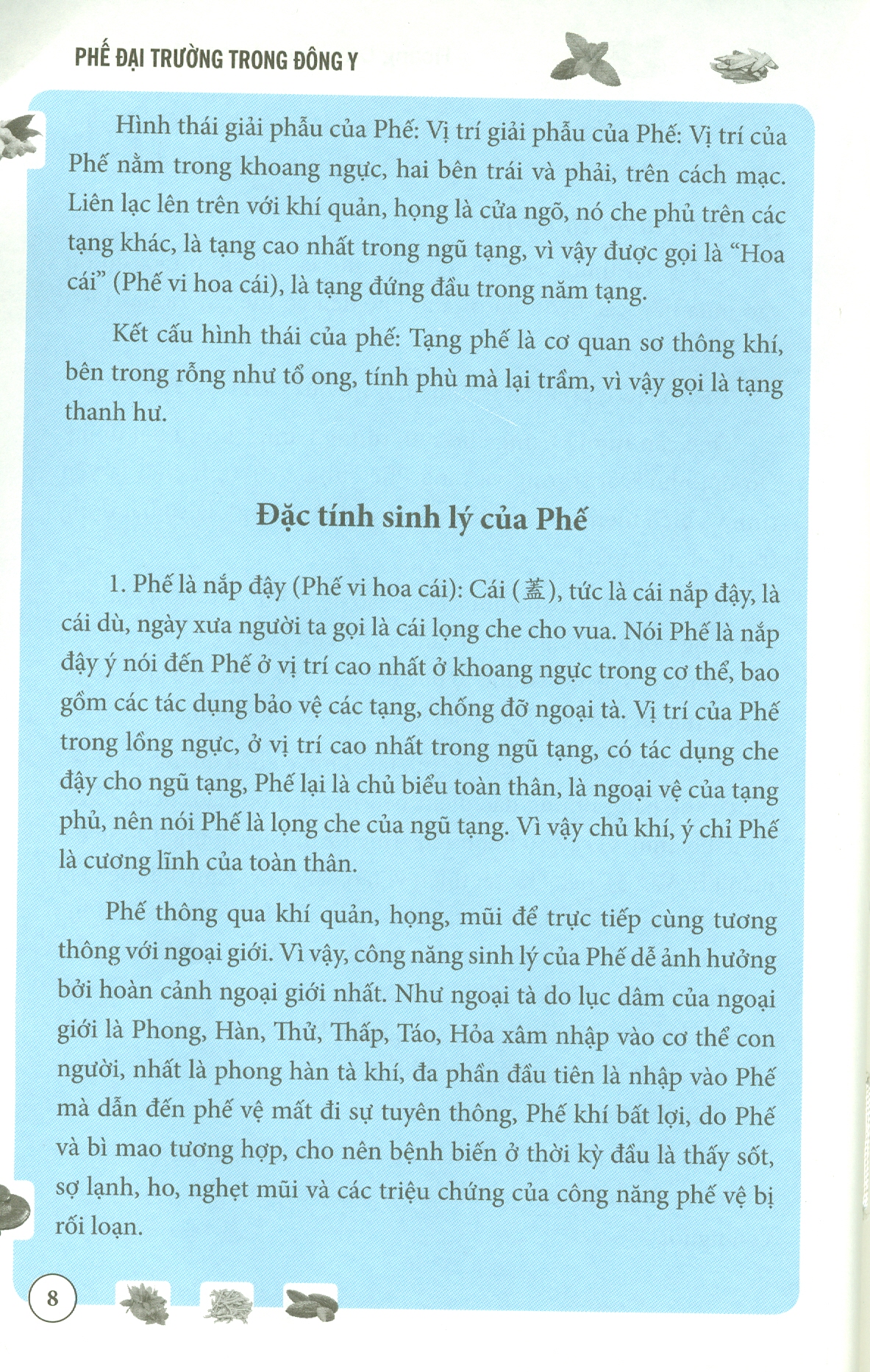 Phế Đại Trường Trong Đông Y