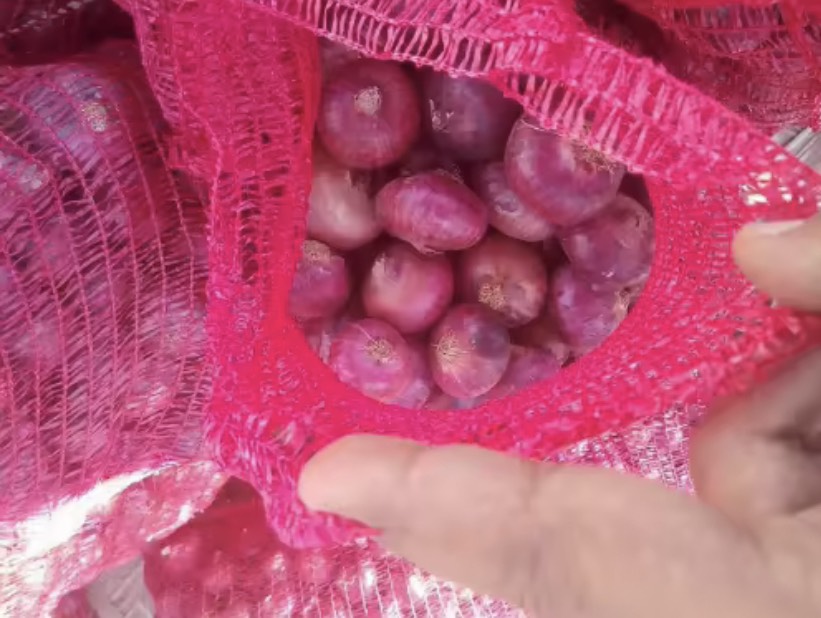 HÀNH ẤN ĐỘ LOẠI 1 , LỰA CHỌN KỸ, HÀNH KHÔ ĐẸP (hành tím khô, hành tím ấn độ, hành tím, tỏi tím, tỏi cô đơn, tỏi bắc, tỏi đen)