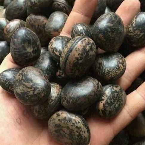 HẠT ĐẬU LÀO 500G
