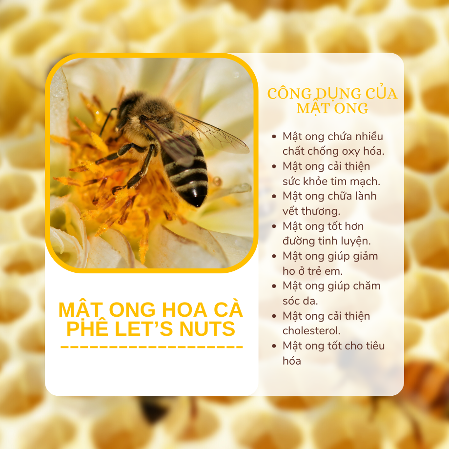 Mật ong hoa cà phê thượng hạng Let's Nuts chai 1 lít