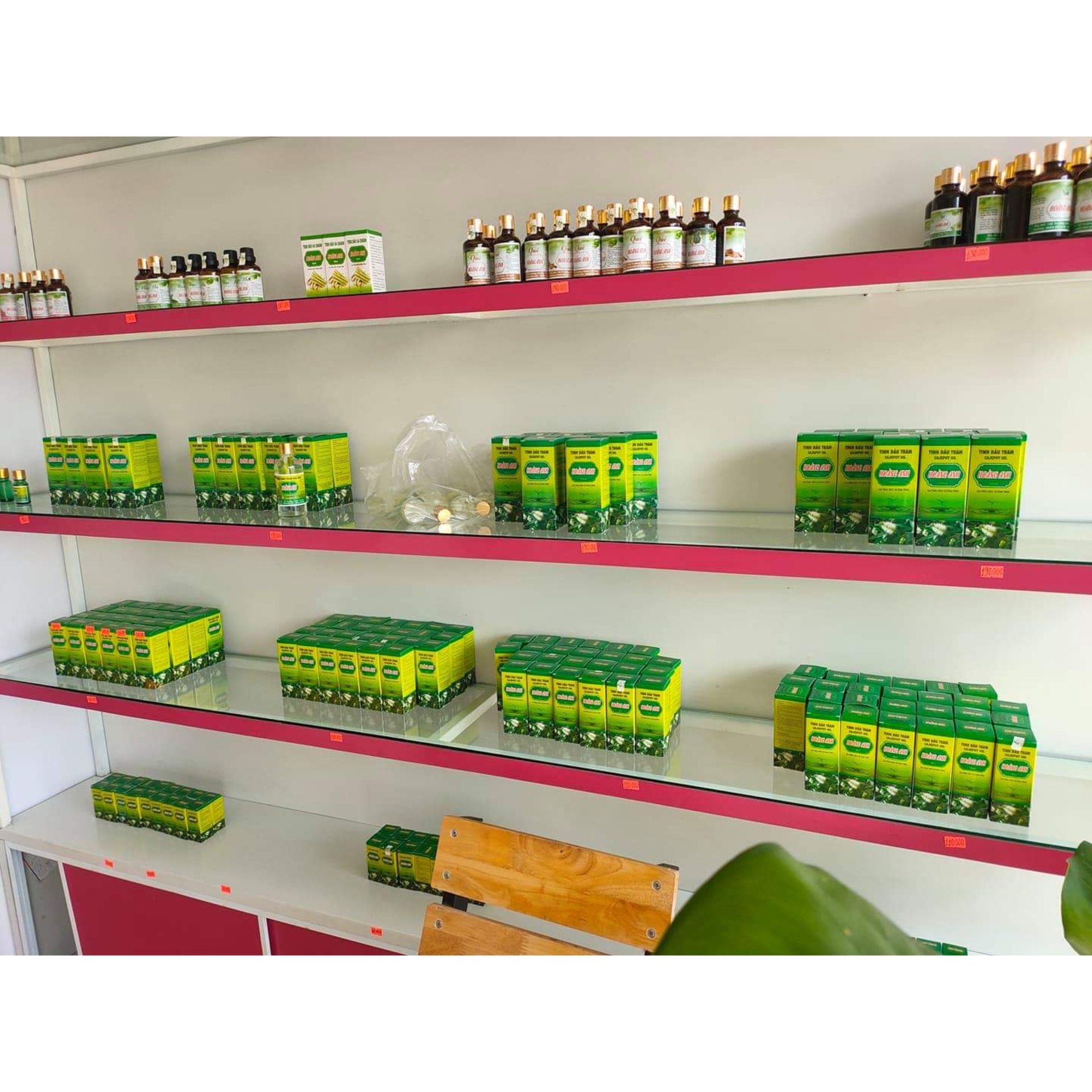 Tinh dầu tràm Hoàng Anh ( 10ml, 50ml, 100ml)