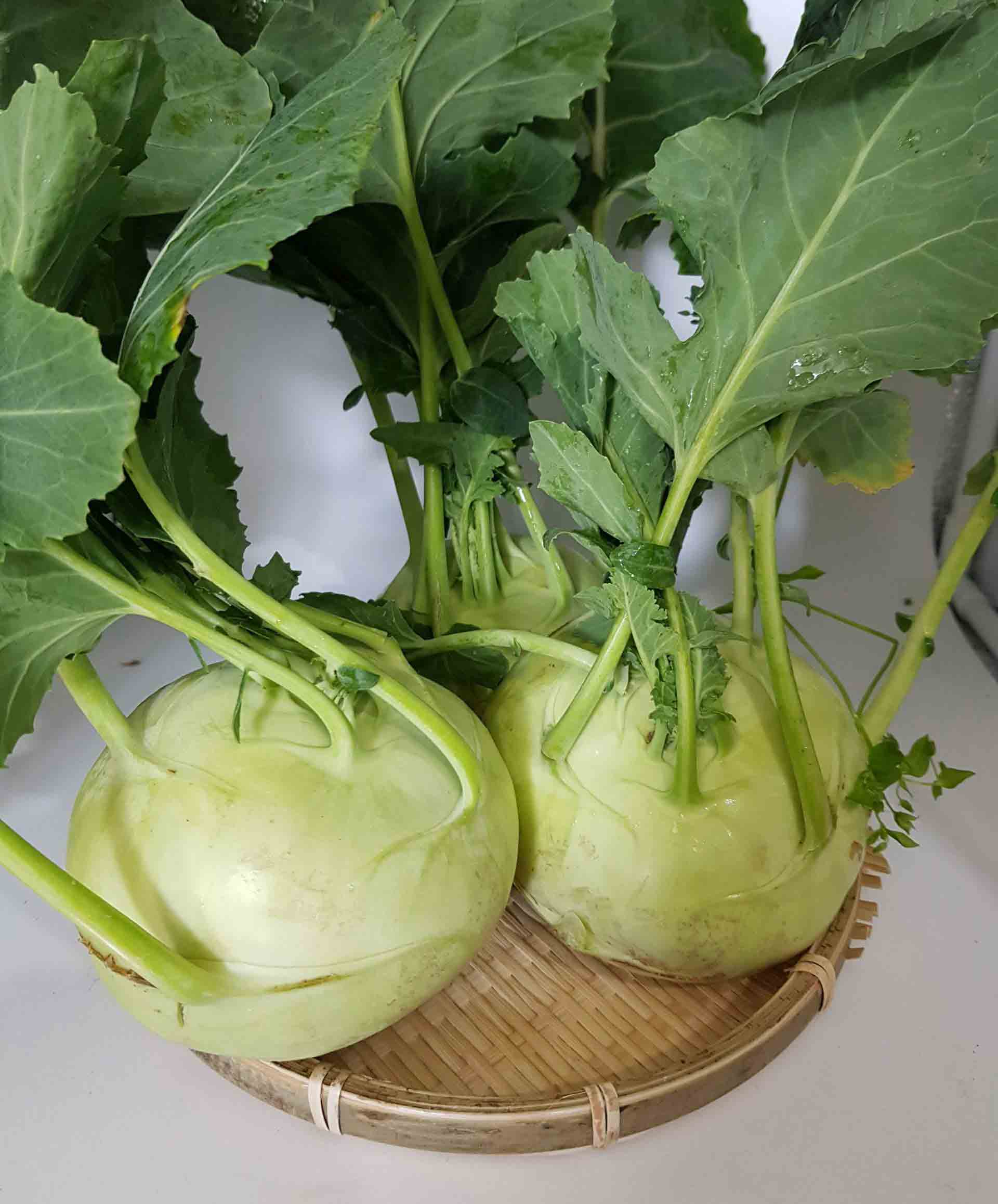 HẠT GIỐNG SU HÀO F1 PN GÓI 2GRAM