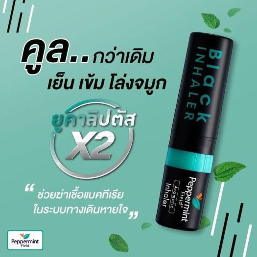 [CHÍNH HÃNG] Ống Hít Thông Mũi Bạc Hà 2 Đầu BLACK PEPPERMINT FIELD Thái Lan